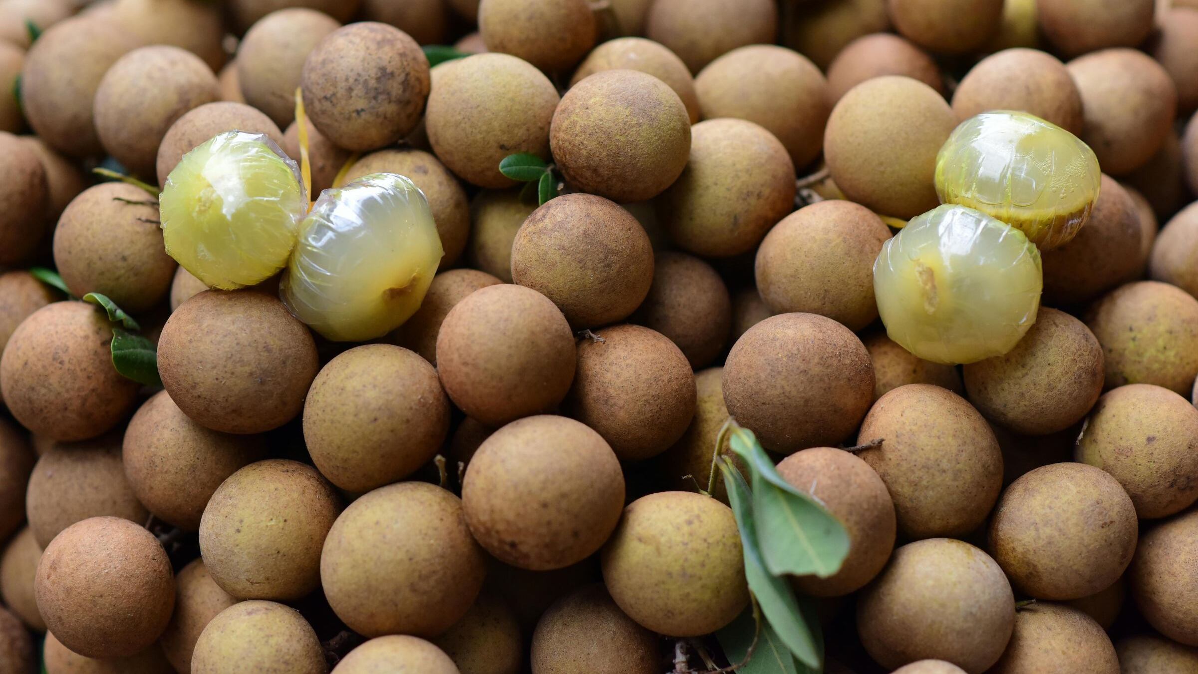 Longan, cuore e cervello in salute con il frutto asiatico coltivato in Italia