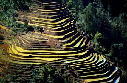 Lo spettacolo dei campi terrazzati in Cina 14