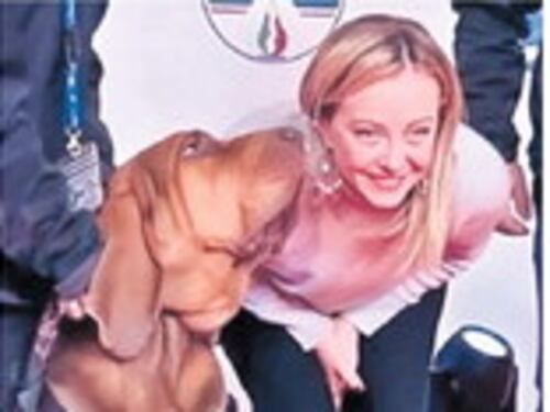 La morte choc di Bruno, cane-eroe premiato da Meloni