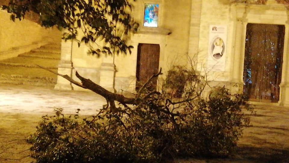 Raffiche di vento a 100 chilometri orari: danni e feriti a Palermo e provincia