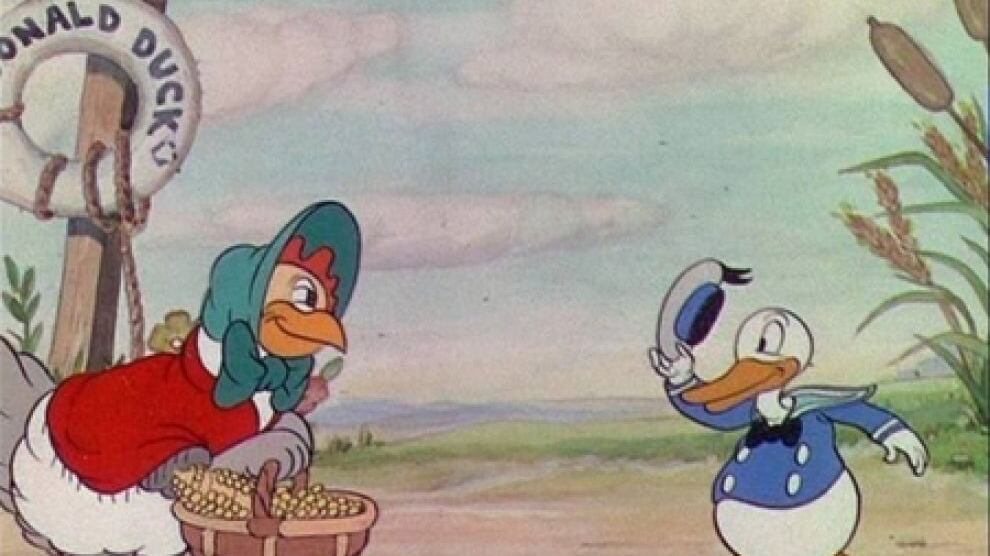 Il primo "qua qua" del papero più sfortunato del mondo