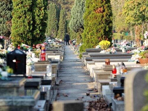 Tombe ai musulmani, il Viminale: "Serve un'intesa tra Stato e islam"