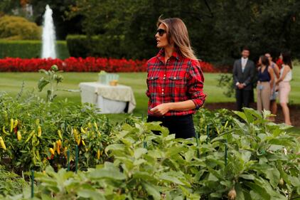 Melania Trump come Michelle: fa l'orto alla Casa Bianca 9