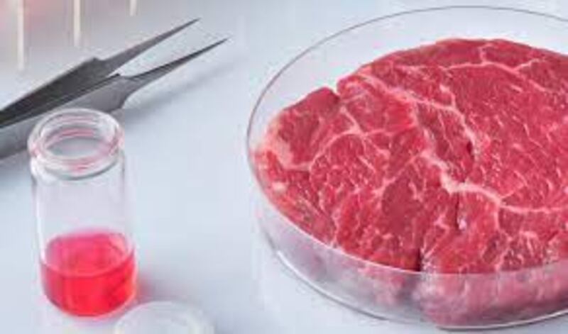 Carne sintetica