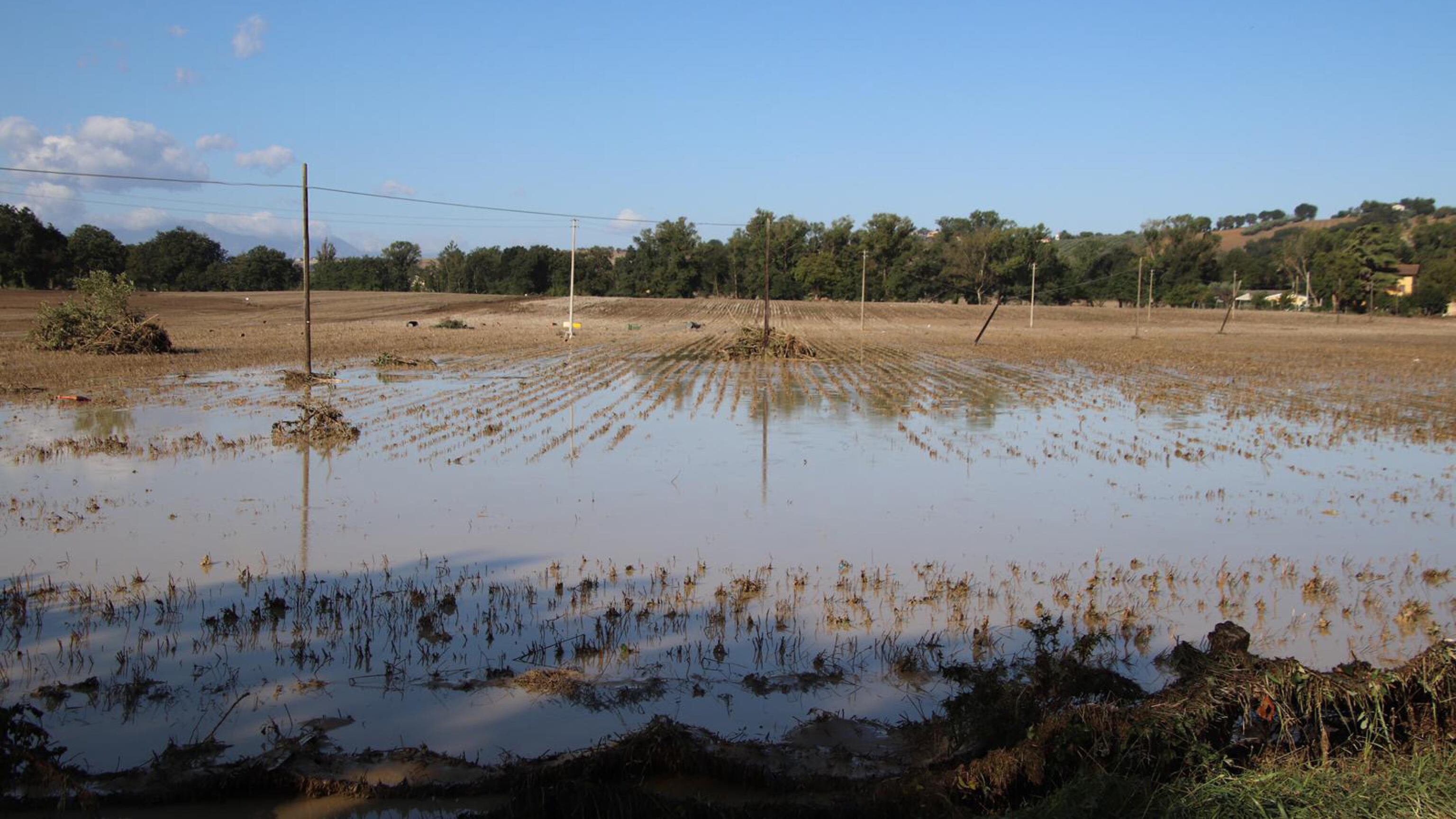 Il clima cambia, pensiamoci in tempo