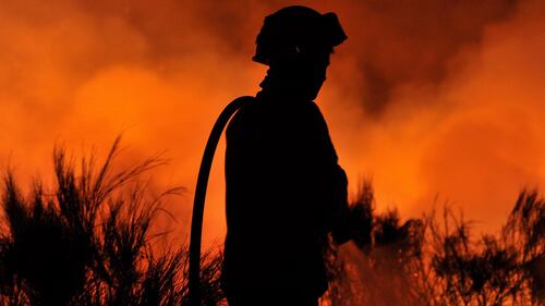 Colossale incendio in Portogallo 10