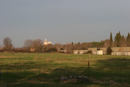 Ippodromo di Tor di Valle: dalle corse al degrado 6