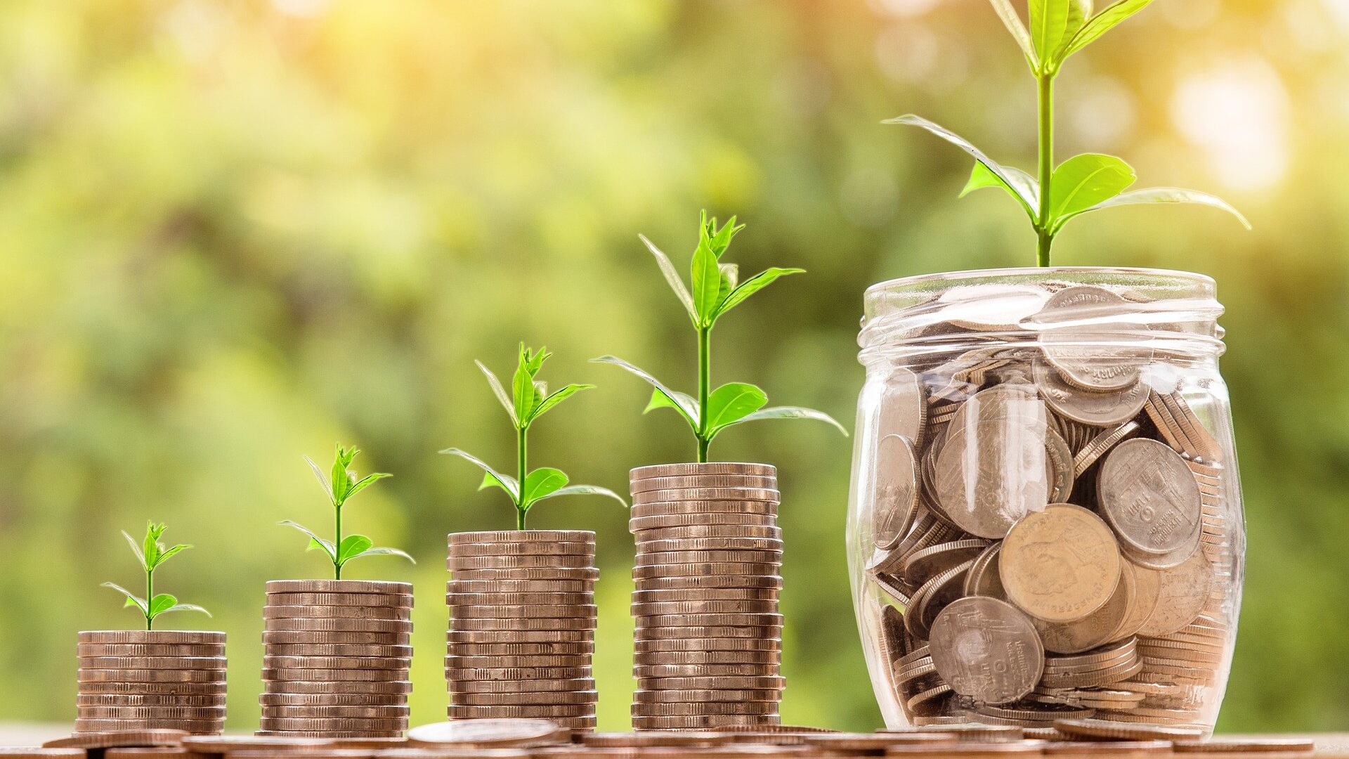 "Meglio il divano di 1.300 euro al mese"
