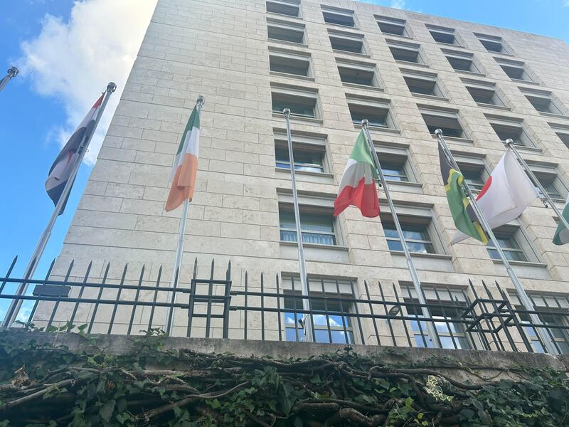 Manifestanti pro Palestina tolgono la bandiera di Israele dal palazzo della Fao 1