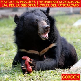 La satira del giorno. Non è stata Jj4 1