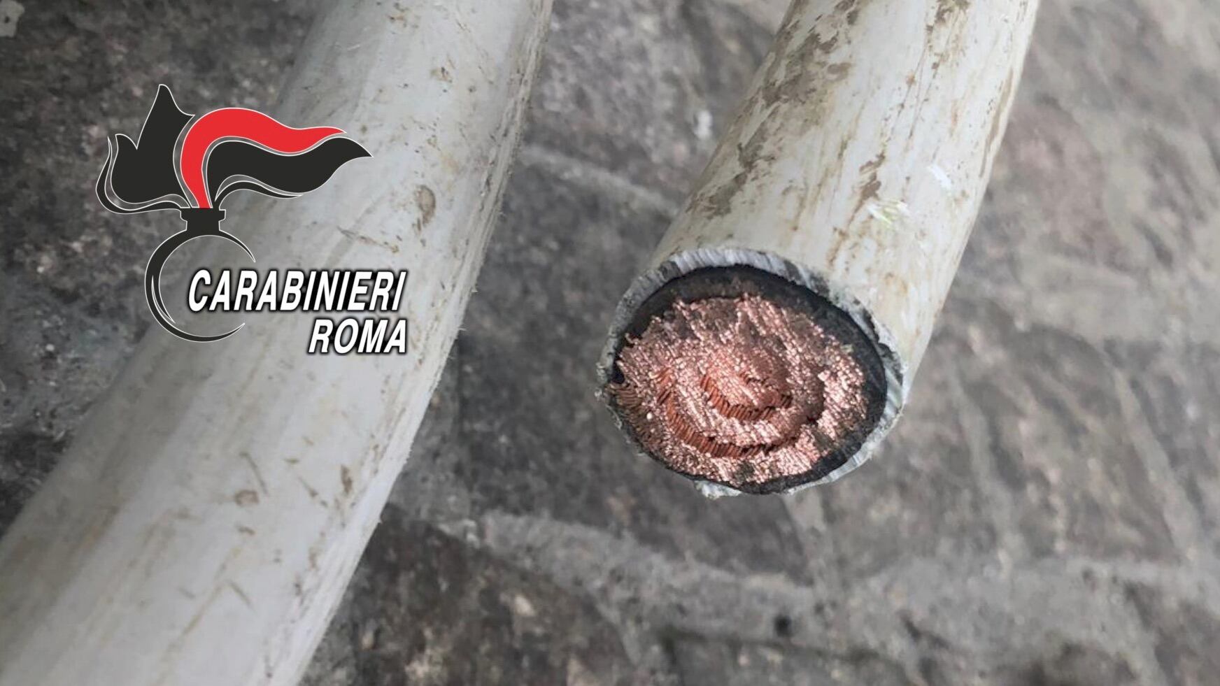 Scoperti ladri di "oro rosso" a Torresina