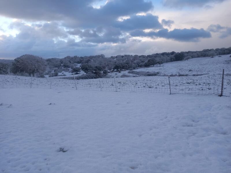 Freddo e neve, in Sardegna si stringe la morsa del gelo 2