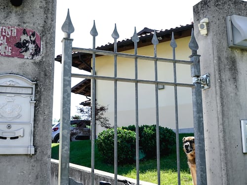 Il bar a Torino, i precedenti e la banda di “trasfertisti”: chi era il rapinatore ucciso ad Alba