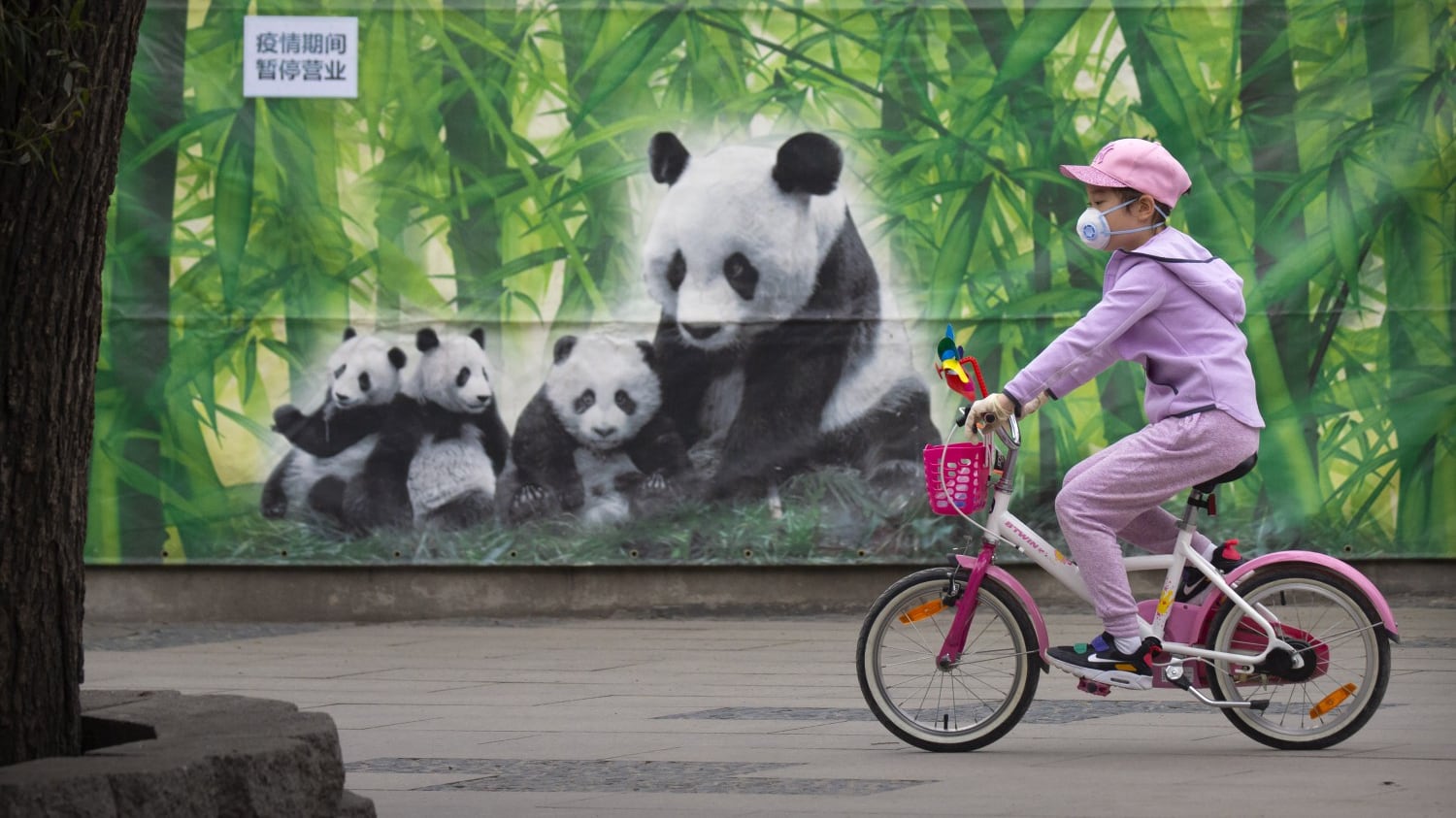 In Cina nessun contagio interno. E Pechino stimola l'economia