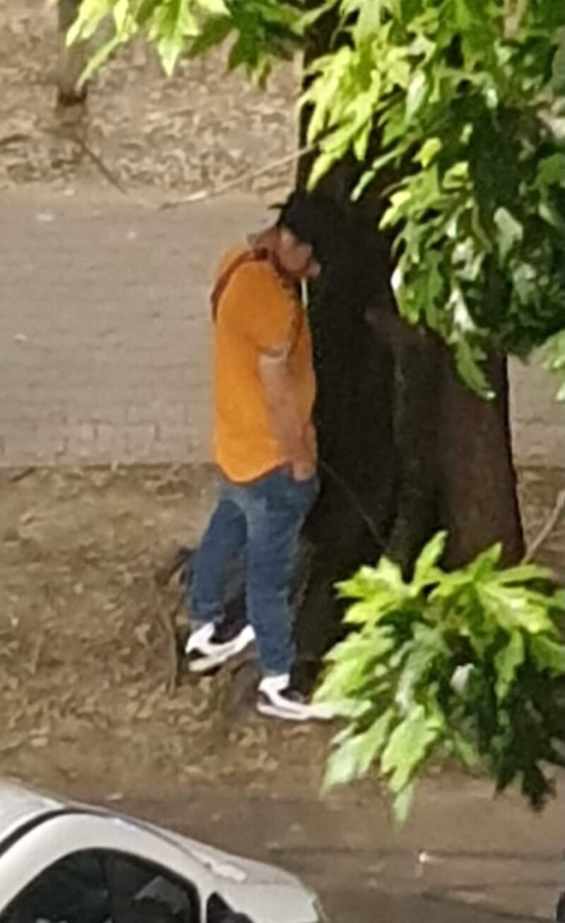 Degrado parco di Bande nere a Milano 4
