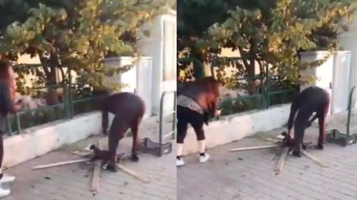 Adesso parlano i carabinieri: "Ecco la verità sul gatto arrostito..."