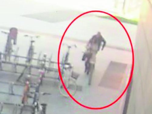 "È pericoloso": le perizie ignorate. Così accoltellò una passante a caso