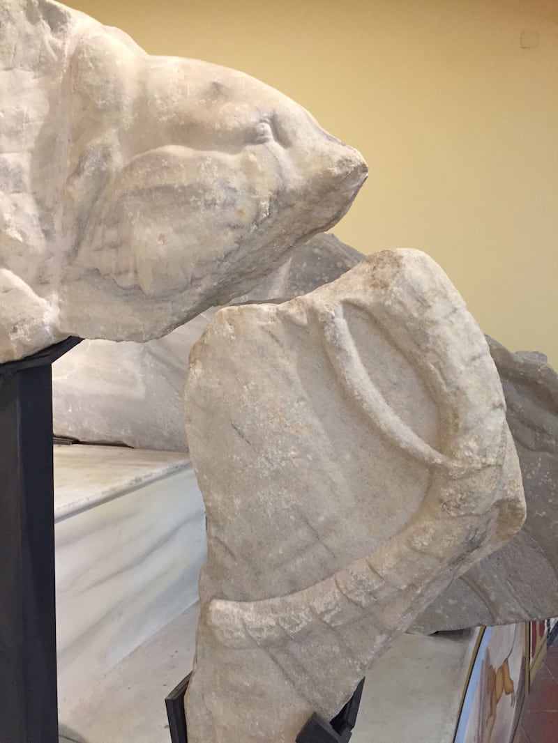 Nella Capua romana "l'altro Colosseo" 3