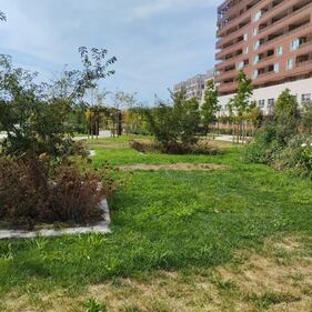 Manutenzione del verde al 'Parco 8 marzo' di Milano 9