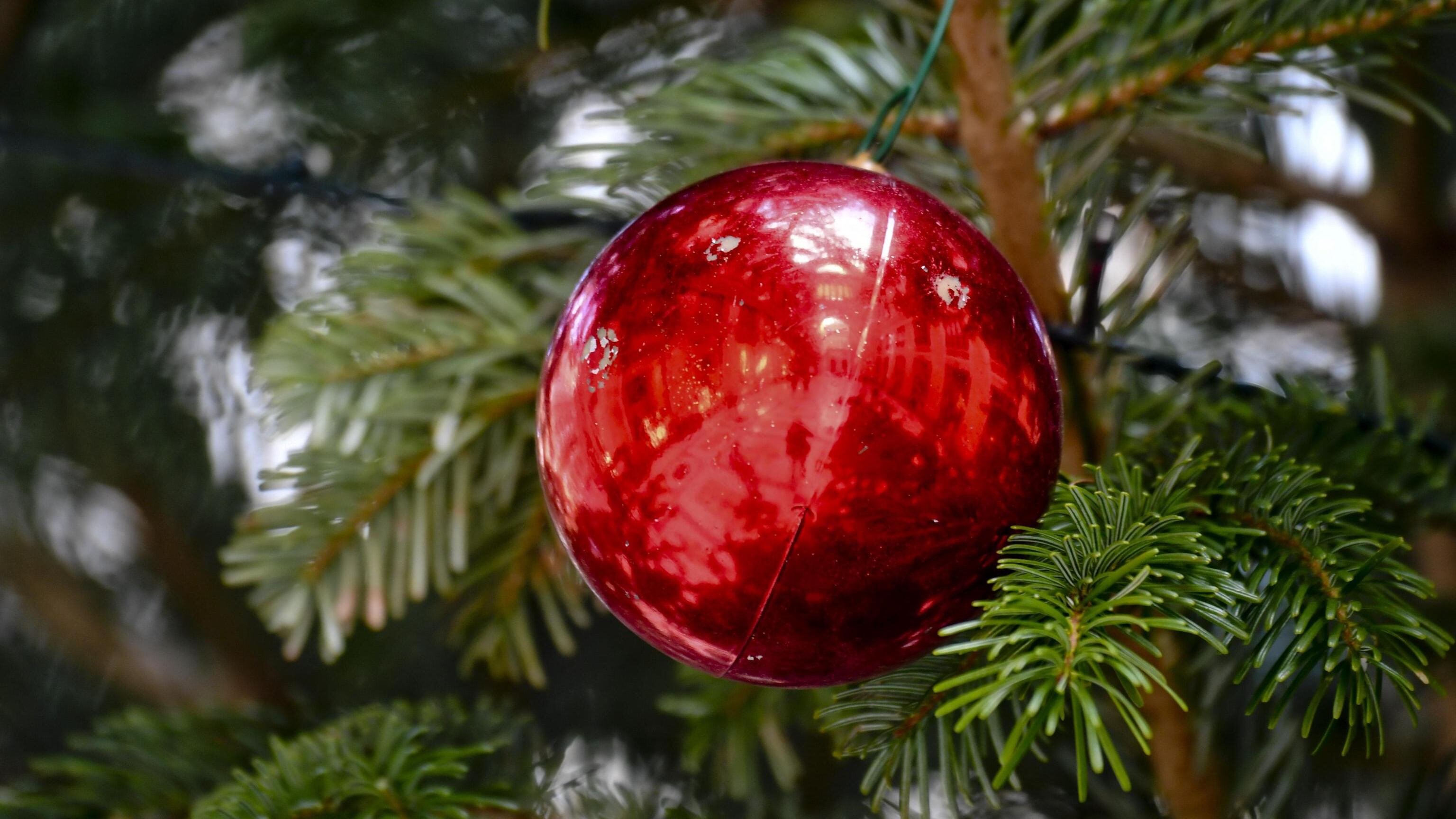 Natale 2022, sotto l'albero miele, software e varianti alcoliche del panettone