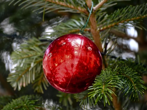 Tentano di rubare albero di Natale, sei minori nei guai