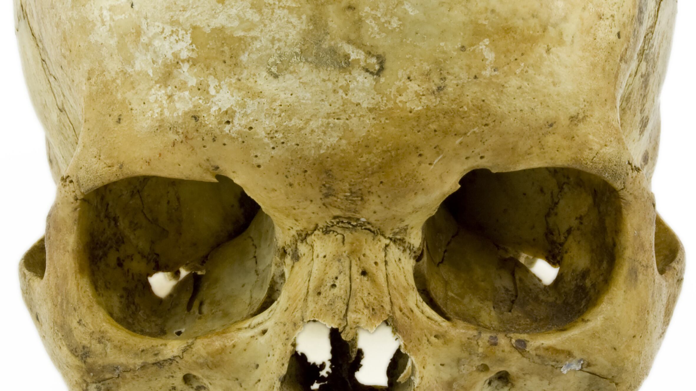 Per il genere "homo" la cultura produce mutamento biologico