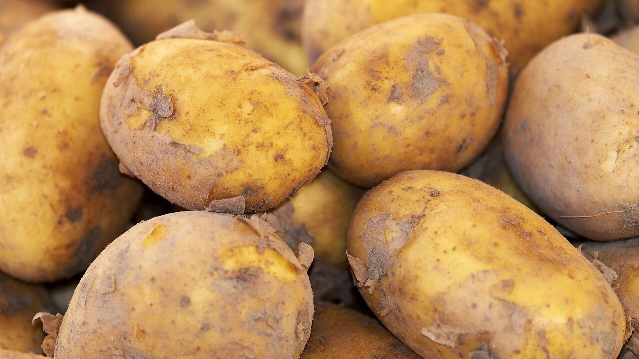 La rivoluzione della patata, una nuova tecnica consente di coltivare in ambienti estremi