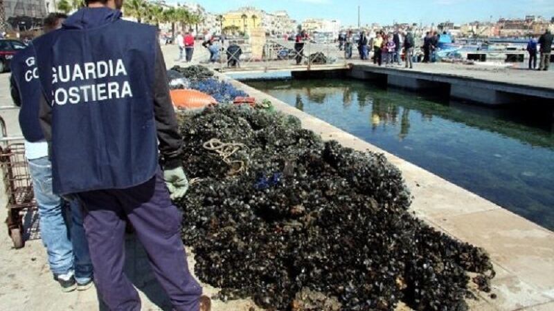Cozze contaminate dalla salmonella: è allarme a Napoli