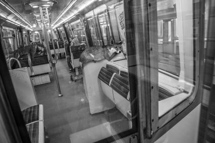 La metrò parigina diventa savana 7
