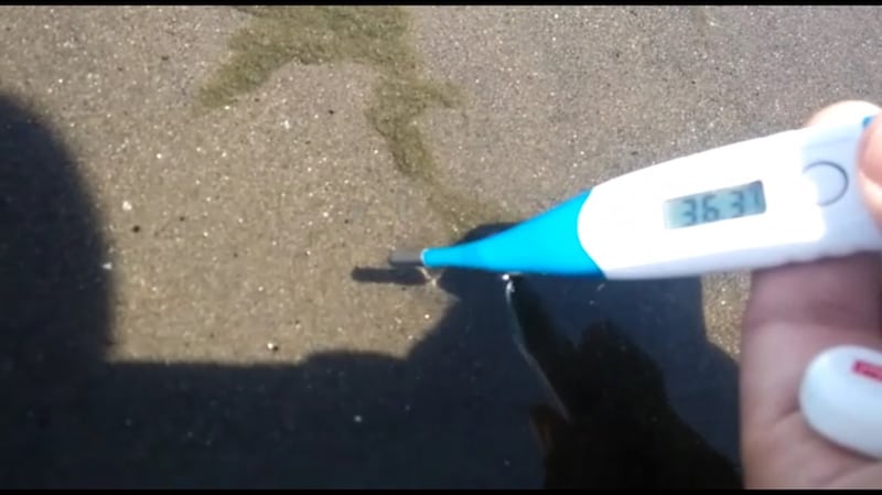 Il lago di Bracciano senza acqua 6