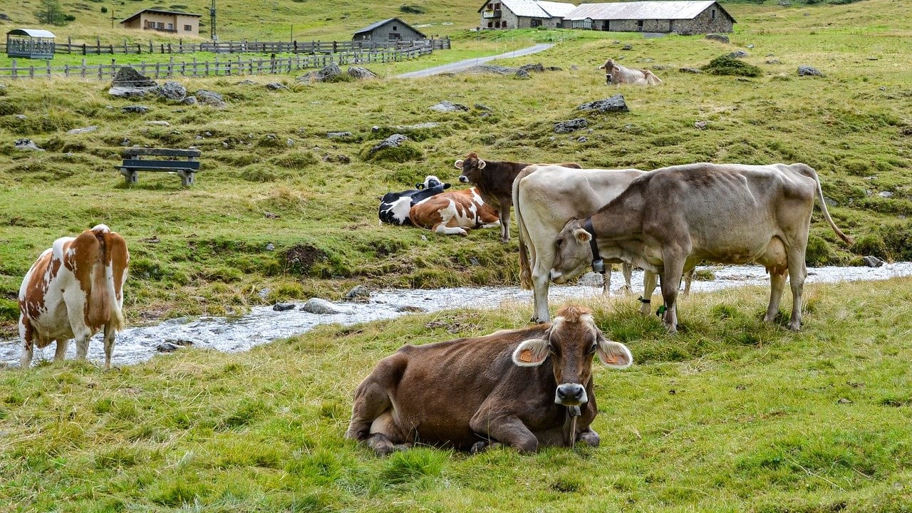 Fino a 100mila euro per trasferirsi in Trentino: ecco i 33 comuni selezionati