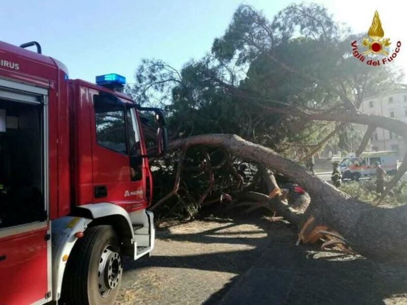 Roma, albero cade in centro e colpisce un'auto in transito 4