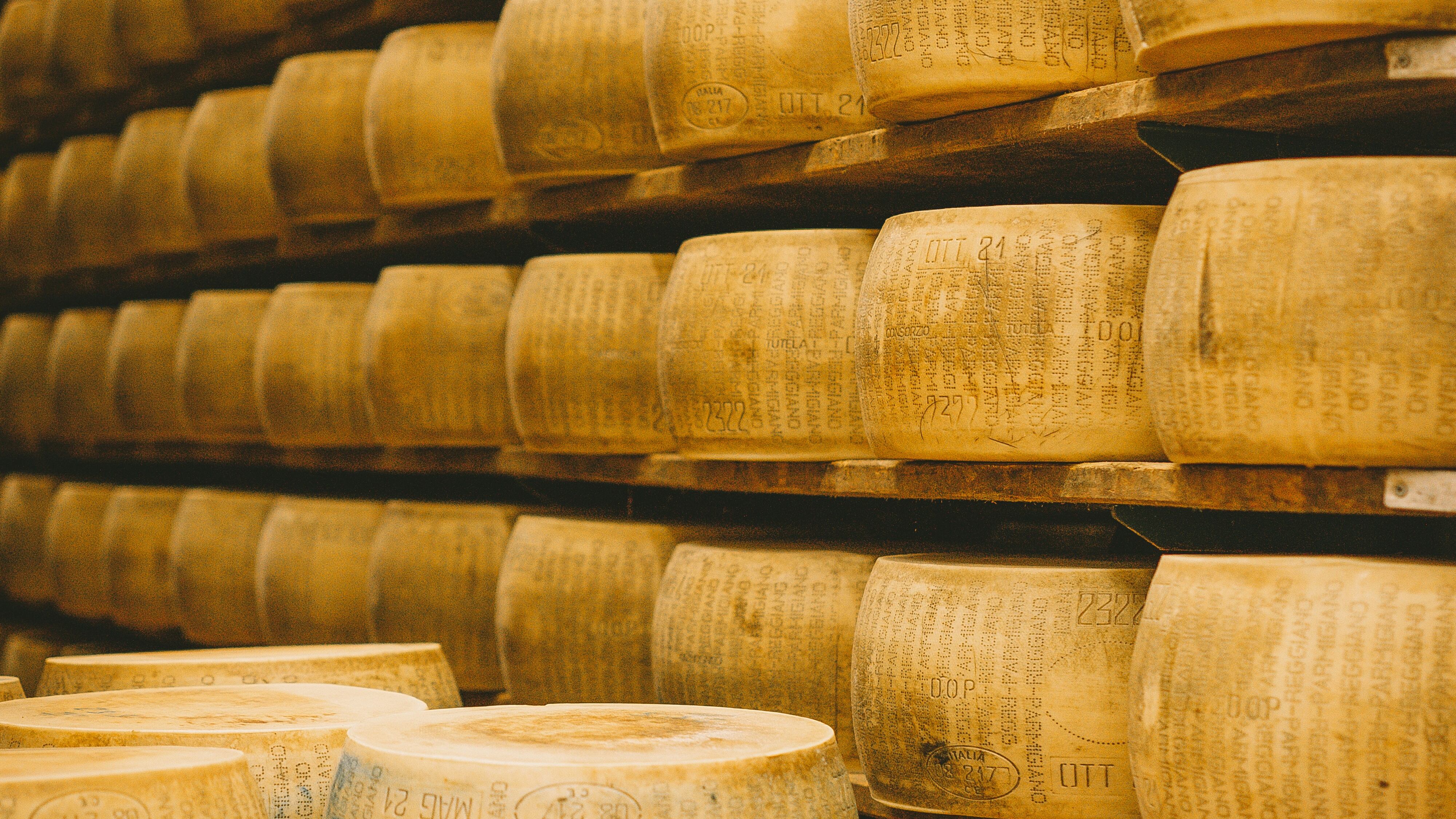 Il segreto algebrico della forma. La storia antica del parmigiano che ha conquistato il mondo