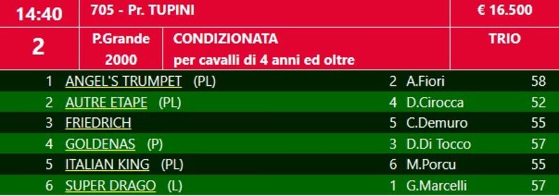 tupini 2024