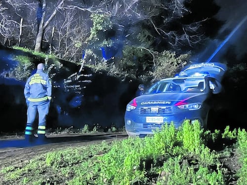 La chiave del giallo dei tre cacciatori uccisi è il cane portato e poi lasciato nell'auto