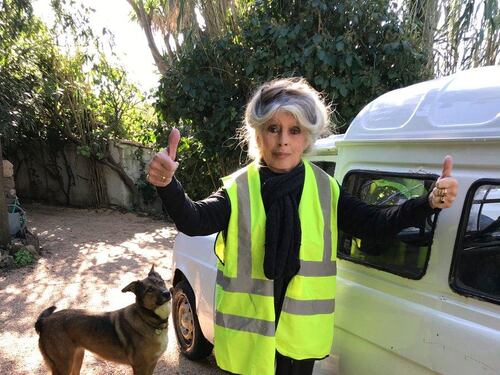 La Bardot sta con i gilet gialli. E augura "buon ittero" a Macron