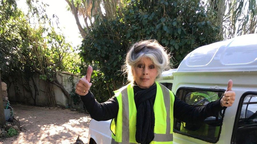 La Bardot sta con i gilet gialli. E augura "buon ittero" a Macron