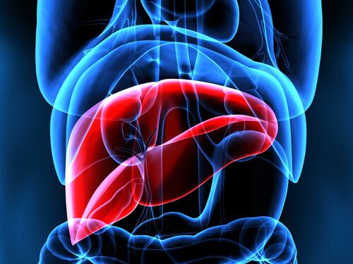 Mash, esperti a confronto su importanza diagnosi per patologia epatica sottovalutata