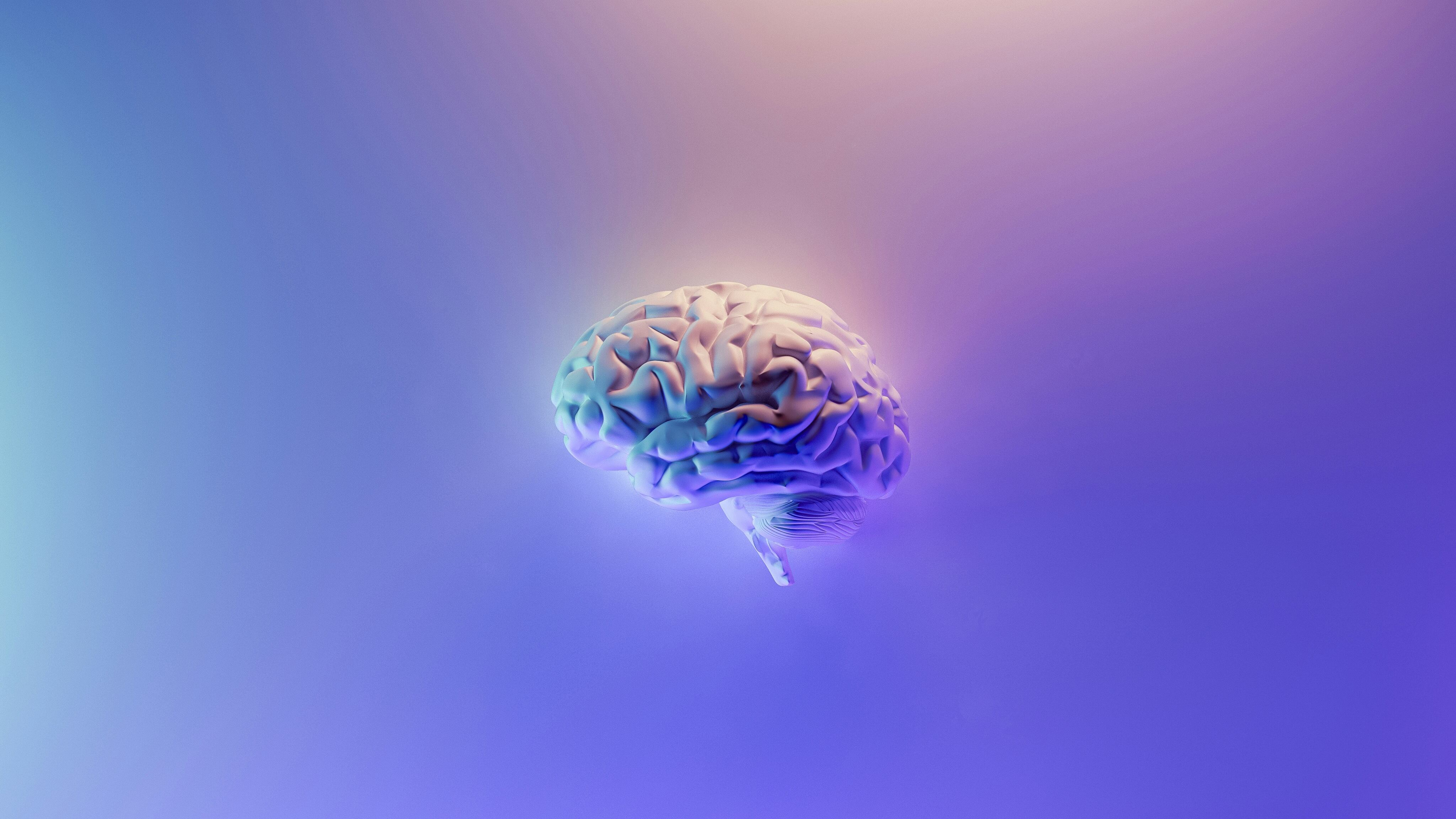 "Ecco il giardino segreto della nostra intelligenza"