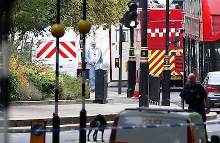 Londra, auto contro il parlamento 3