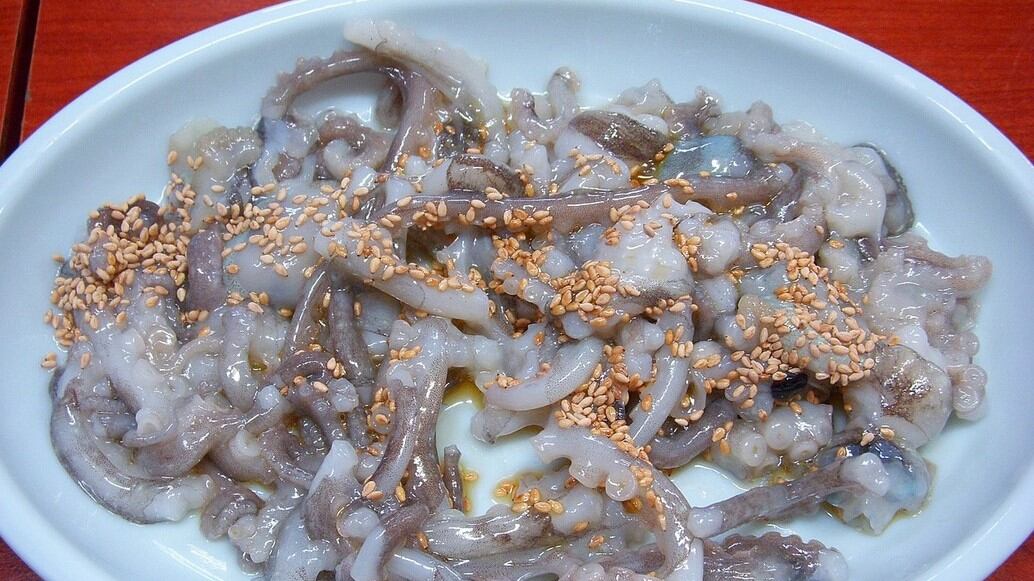 Muore soffocato da un tentacolo di polpo: attenzione al san-nakji