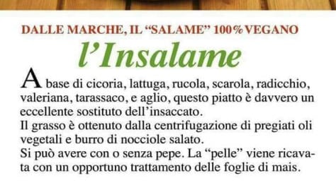 "L'insalame", la bufala virale che "indigna" i social