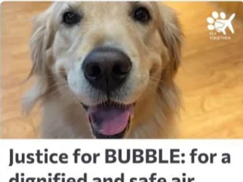 Bubble, morta nella stiva e nessuna risposta