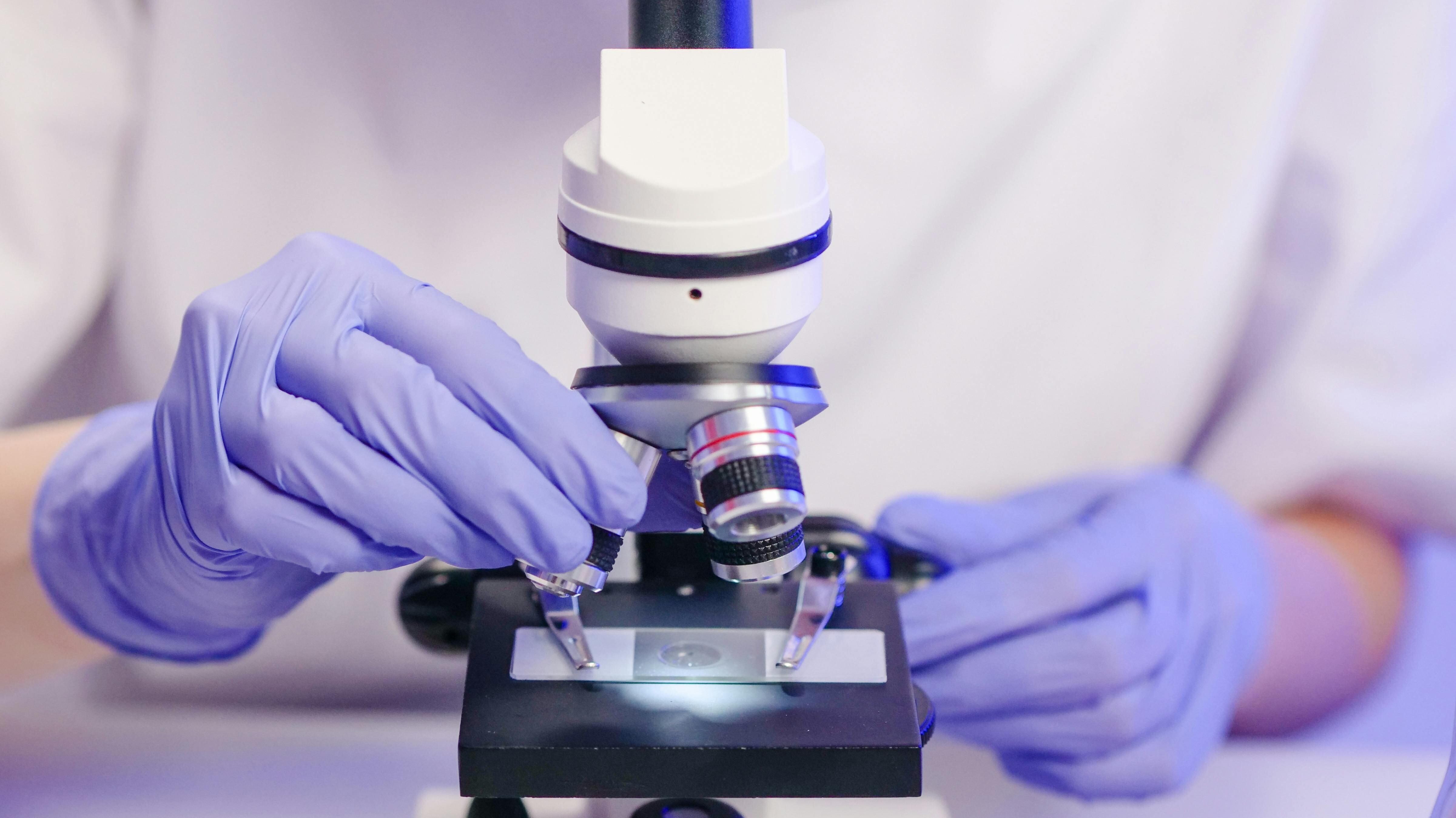 Scoperto un virus nell’intestino che potrebbe essere collegato al tumore al colon
