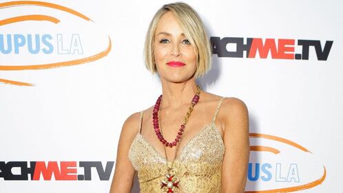 Sharon Stone, le foto dell'attrice 8