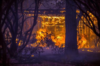 California devastata dagli incendi 11