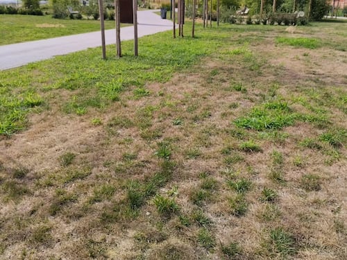 Il sindaco Sala prima inaugura il parco e poi lo abbandona a se stesso