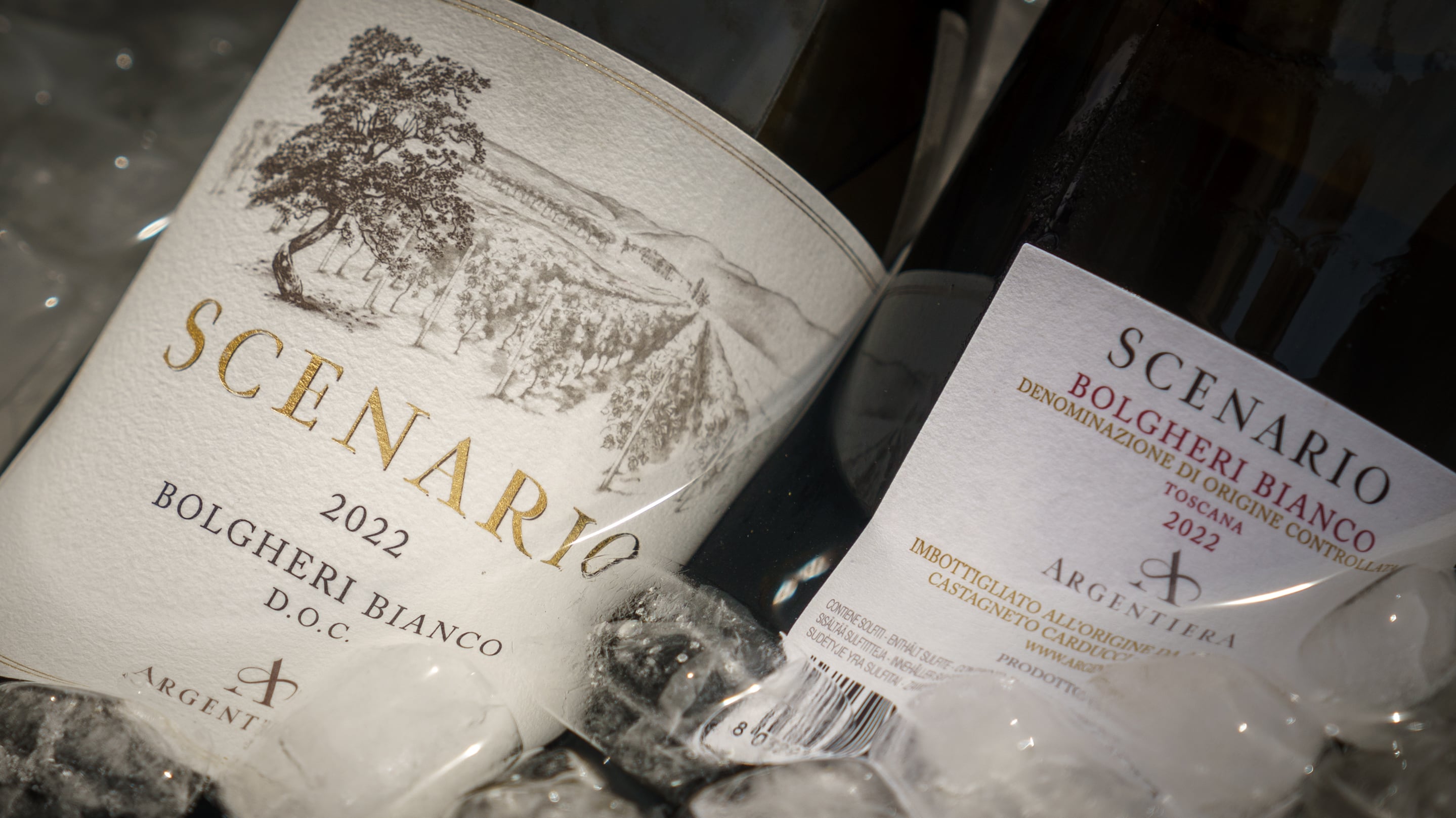 Scenario, l'evoluzione del Vermentino