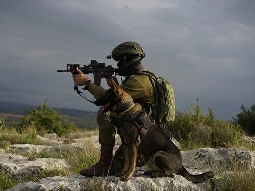 Israele schiera l'unità cinofila Oketz: la carta per la guerra dei tunnel a Gaza