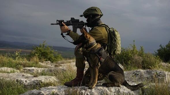 Israele schiera l'unità cinofila Oketz: la carta per la guerra dei tunnel a Gaza